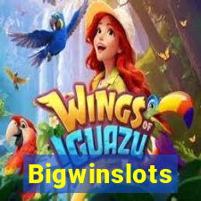 Bigwinslots