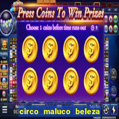 circo maluco beleza recife circo maluco