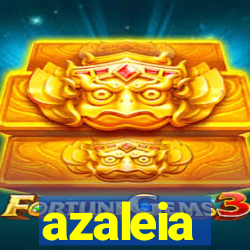 azaleia-br.com