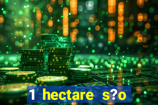 1 hectare s?o quantas tarefas na bahia