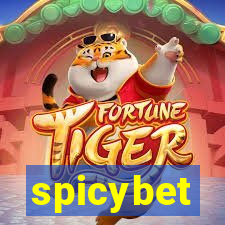 spicybet-4.com